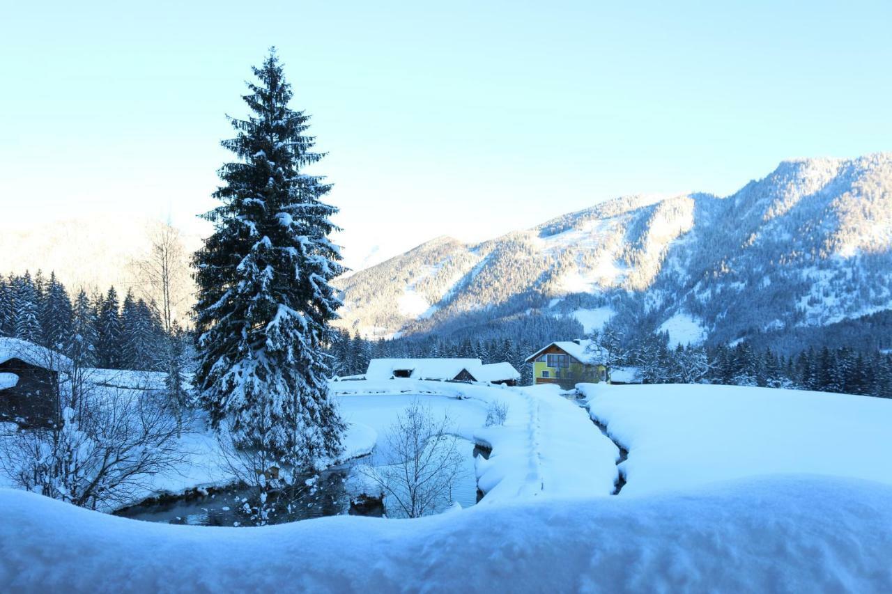 Ferienhaus Am Muehlbach Gams bei Hieflau 외부 사진